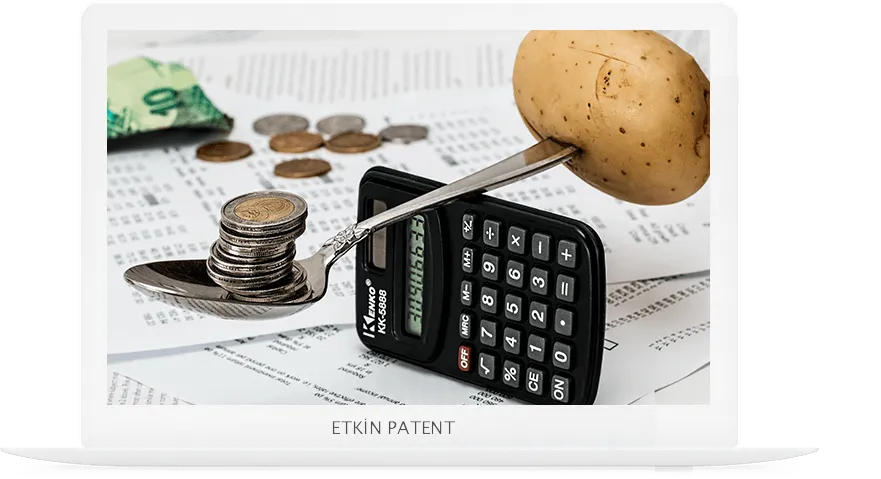 finansal davranışlara dair kombinasyon modeller-kemalpaşa patent